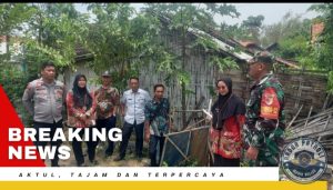 Sukseskan Program ODF,  Koramil Dringu Bersama Sejumlah Pihak Lakukan Penertiban Jaban Liar