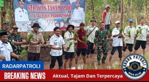 Gerakan Tanam (Gertam) Padi Di Desa Pohsangit Tengah, Kabupaten Probolinggo