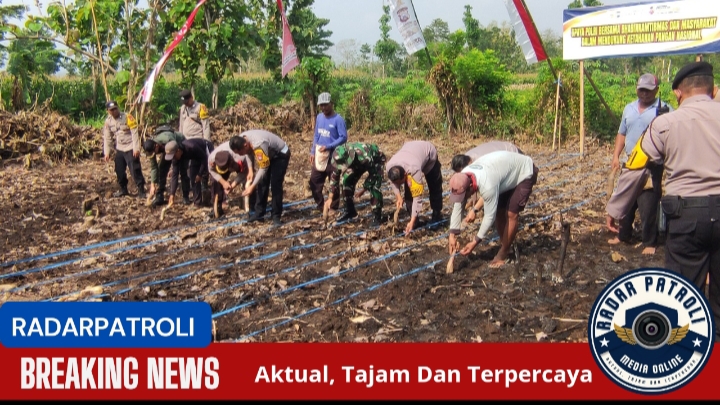 Program 100 Hari Presiden Prabowo Subianto Dorongan Baru Untuk Ketahanan Pangan Nasional Di Kota Probolinggo
