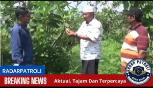 Pengolahan Buah Tin Di UMKM Pondok Pesantren Nurul Huda Al-Bashori