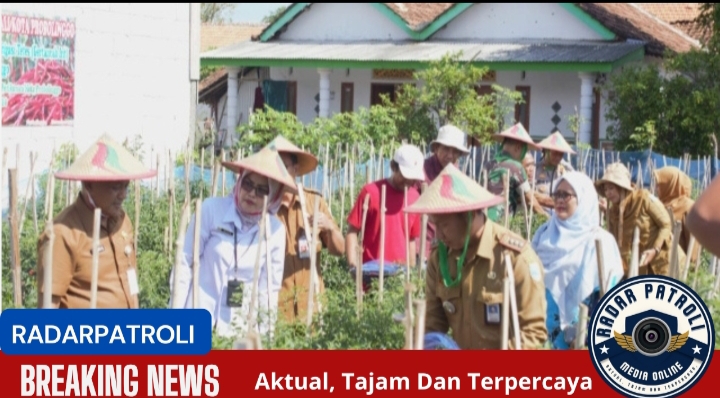 Kota Probolinggo Mantap Dukung Ketahanan Pangan Nasional Melalui Gertancab Irit