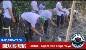 Kodim 0820/Probolinggo Bersama Sejumlah Pihak Tanam Mangrove Di Pesisir Pantai Gending 