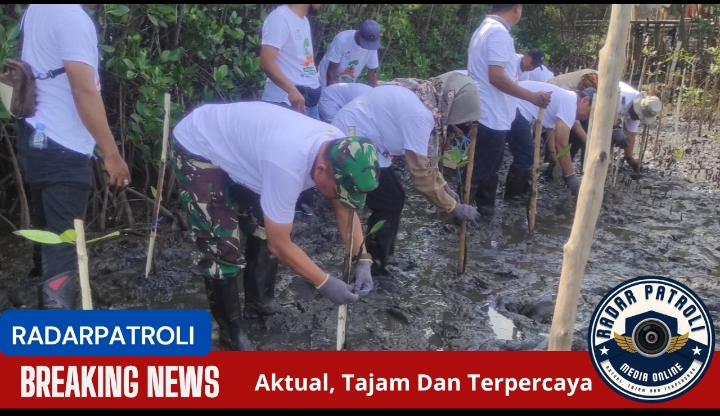 Kodim 0820/Probolinggo Bersama Sejumlah Pihak Tanam Mangrove Di Pesisir Pantai Gending 