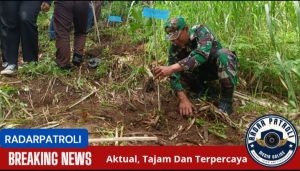 Pelestarian Sumber Mata Air, Koramil Sumber Dukung Penanaman Pohon Oleh Gerakan Pramuka 