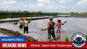 Koramil 0820/01 Kanigaran Dukung Gerakan Antisipasi Darurat Pangan Nasional  