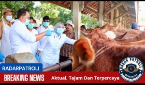 Pj. Gubernur Jatim Tinjau Pasar Hewan Di Probolinggo, Pastikan Kelayakan Ternak Di Tengah Wabah PMK  