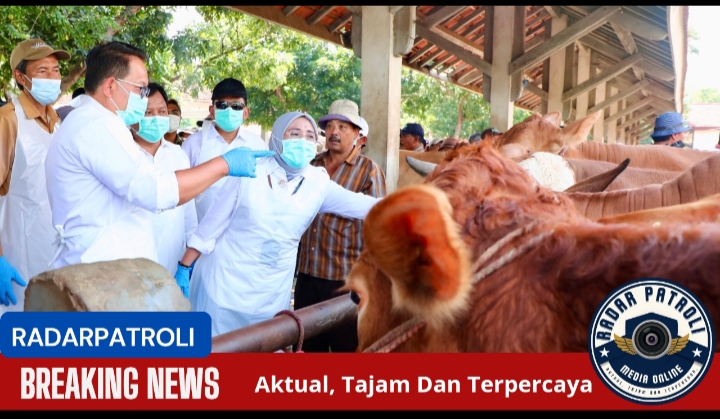 Pj. Gubernur Jatim Tinjau Pasar Hewan Di Probolinggo, Pastikan Kelayakan Ternak Di Tengah Wabah PMK