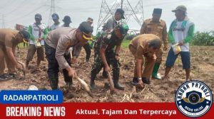 Polres Probolinggo Kota Gelar Penanaman Jagung Serentak 1 Juta Hektar Sinergi Polri, Kementerian, GAPKI, Perhutani, Dan Swadaya Petani  
