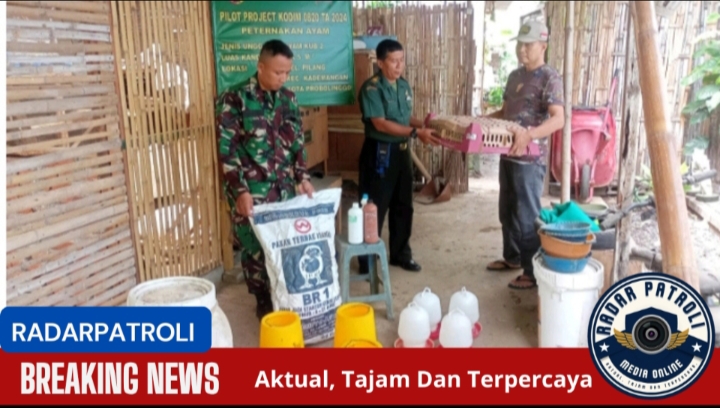 Kodim 0820/Probolinggo Gelar Kegiatan Ketahanan Pangan Peternakan Ayam Joper Tahun 2024