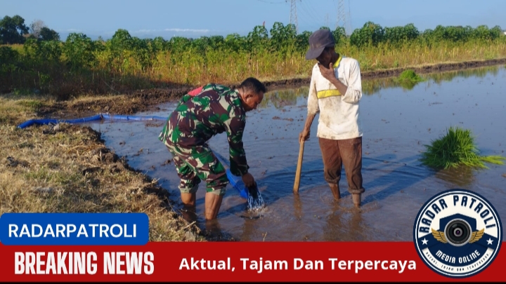 Koramil 0820/02 Wonoasih Menanam Padi, Sukseskan Gerakan Antisipasi Darurat Pangan Nasional 