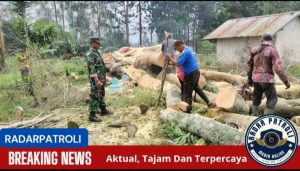 Koramil Sumber Melakukan Pemantauan Dan Pengamanan Penebangan Pohon Di Area Tempat Pemakaman Umum (TPU) 