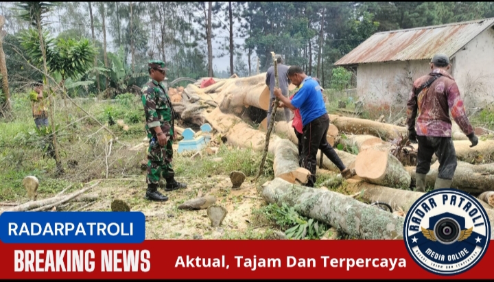 Koramil Sumber Melakukan Pemantauan Dan Pengamanan Penebangan Pohon Di Area Tempat Pemakaman Umum (TPU)