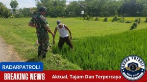 Koramil 0820/21 Maron Aktif Dukung Gerakan Antisipasi Darurat Pangan Nasional