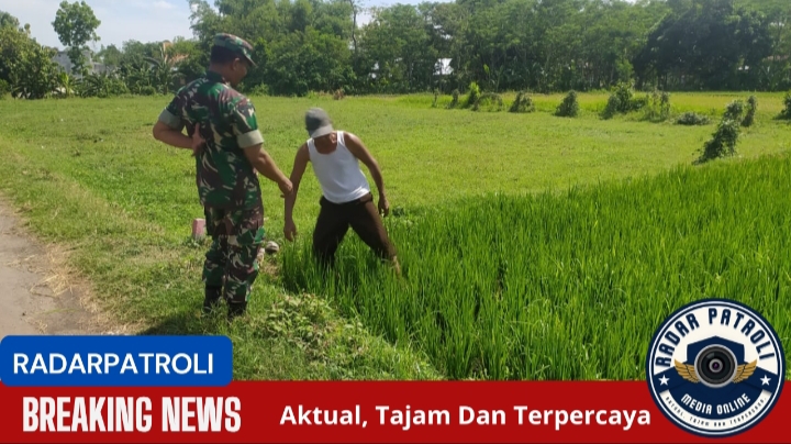 Koramil 0820/21 Maron Aktif Dukung Gerakan Antisipasi Darurat Pangan Nasional
