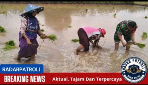 Sertu Jumadi Anggota Koramil 0820/04 Bantaran Dukung Gerakan Antisipasi Darurat Pangan Nasional
