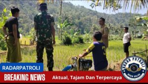 Kemanunggalan TNI, Sertu Erianto, Anggota Koramil 0820/24 Tiris Dukung Gerakan Antisipasi Darurat Pangan Nasional