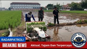 Koramil 0820/22 Dringu Berperan Aktif Dalam Gerakan Antisipasi Darurat Pangan Nasional  