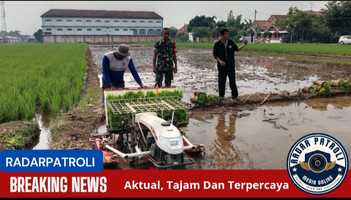 Koramil 0820/22 Dringu Berperan Aktif Dalam Gerakan Antisipasi Darurat Pangan Nasional