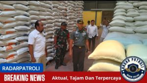 Dandim Situbondo Sidak Gudang Bulog Pastikan Penyerapan Gabah Maksimal Untuk Ketahanan Pangan