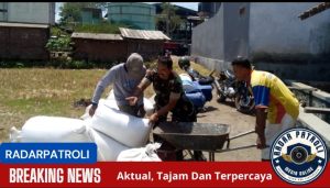 Inilah Kemanunggalan TNI, Koramil 0820/03 Leces Melakukan Pendampingan Serapan Gabah Petani 