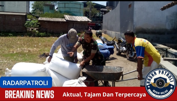 Inilah Kemanunggalan TNI, Koramil 0820/03 Leces Melakukan Pendampingan Serapan Gabah Petani 