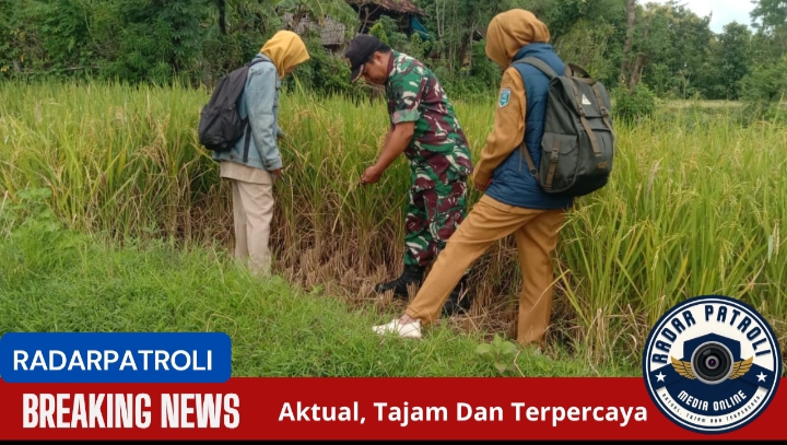 Koramil 0820/09 Lumbang Mendukung Ketahanan Pangan Nasional Melalui Gerakan Antisipasi Darurat Pangan