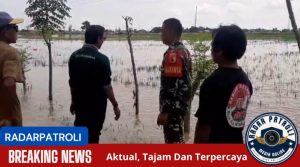 Koramil 0820/16 Kraksaan Melakukan Pemantauan Dan Pendataan Musibah Banjir Di Desa Binaan