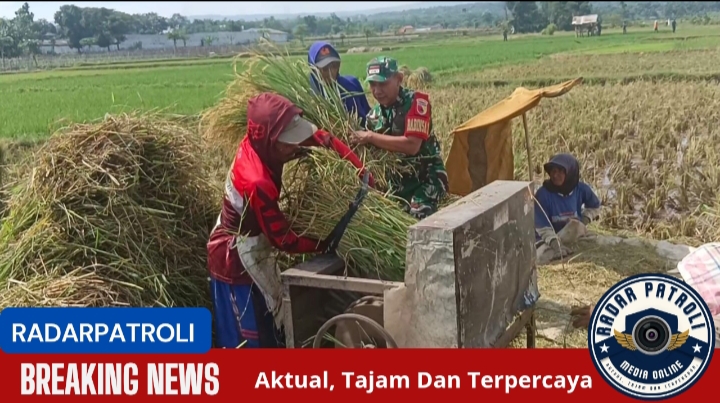 Koramil 0820/21 Maron Turun Langsung Bantu Warga Untuk Mendukung Ketahanan Pangan Nasional