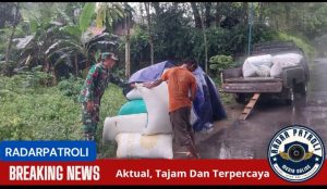 TNI Di Tengah Sawah, Gabah Pun Tak Resah, Koramil 0820/21 Maron Dukung Ketahanan Pangan Lewat Program Serapan Gabah
