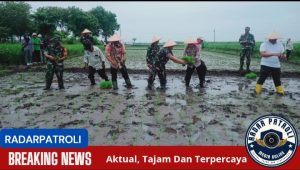 Kodim 0820/Probolinggo Bersama Sejumlah Pihak Monitoring Percepatan Swasembada Pangan