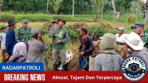 Mendukung Ketahanan Pangan Nasional TNI Berperan Aktif Dalam Gerakan Antisipasi Darurat Pangan