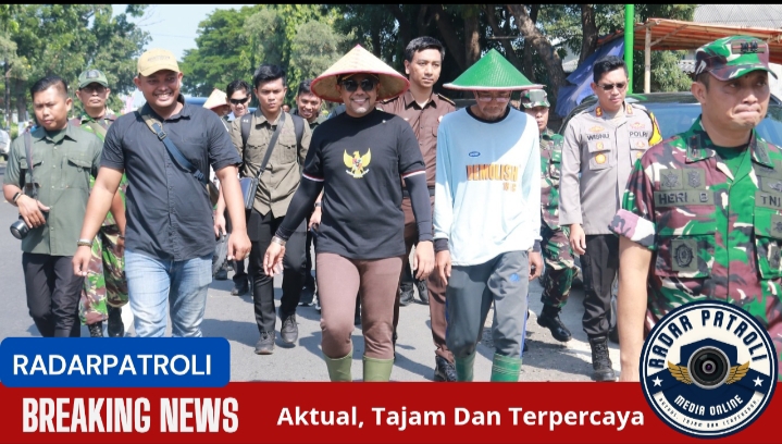 Sinergi Bupati Probolinggo Bersama Forkopimda Dan Petani Untuk Ketahanan Pangan Gelar Panen Raya Padi Di Desa Asembagus