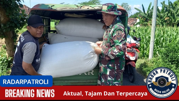 Koramil 0820/02 Wonoasih Sukseskan Program Sergab Dalam Melakukan Pendampingan Petani