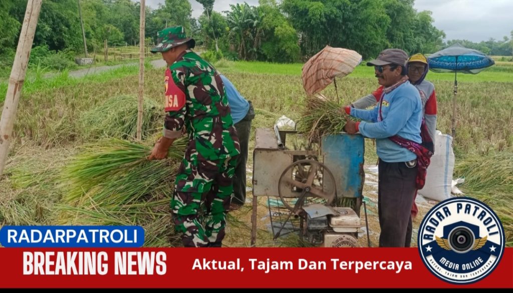Dukung Gerakan Antisipasi Darurat Pangan Nasional, Koramil Pakuniran Melakukan Pendampingan 