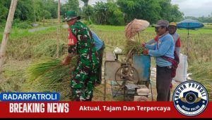 Dukung Gerakan Antisipasi Darurat Pangan Nasional, Koramil Pakuniran Melakukan Pendampingan 