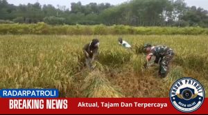 Koramil Banyuanyar Sukseskan Program Serapan Gabah Petani Lewat Komunikasi sosial