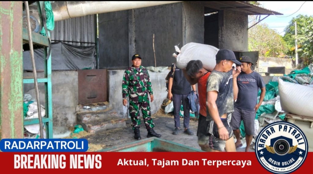 Peltu Supaedi Bati Komsos Kodim 0820/Probolinggo Hadir Di Tengah Petani, Dukung Serapan Gabah Di Desa Suko