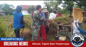 Pendampingan Petani oleh Koramil Wonomerto Untuk Sukseskan Gerakan Antisipasi Darurat Pangan Nasional