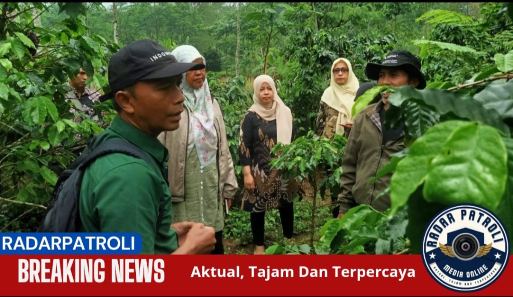 Pembentukan Masyarakat Perlindungan Indikasi Geografis (MPIG) Kopi Arabika Probolinggo Langkah Strategis Untuk Perlindungan Dan Peningkatan Nilai Jual
