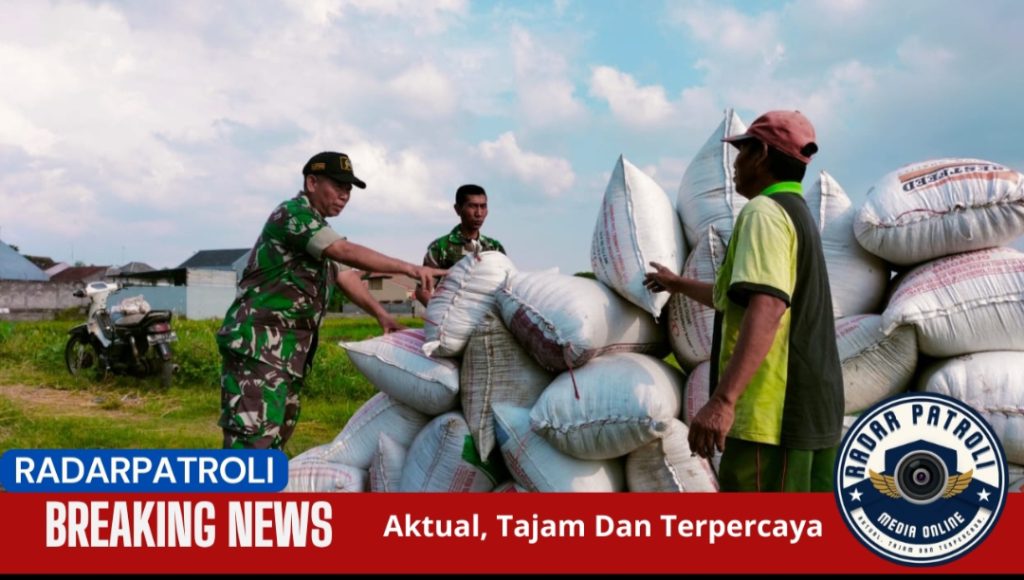 Kodim 0820/Probolinggo Dukung Ketahanan Pangan Lewat Pendampingan Petani di Tisnonegaran