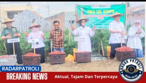 Pasiter Kodim 0820/Probolinggo Kapten Miko S Dukung Penuh Program Swasembada Pangan Lewat Budidaya Padi Organik