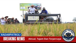 Wali Kota Probolinggo Panen Padi Dan Cabai Organik, Dorong Swasembada Pangan Dan Inovasi Pertanian