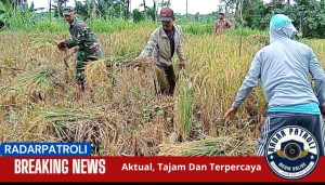 Koramil 0820/20 Banyuanyar Dukung Ketahanan Pangan Lewat Pendampingan Petani di Banyuanyar
