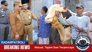 Kota Probolinggo Patut Berbangga Terima Hewan Kurban Dari Presiden RI Untuk Idul Adha 2025