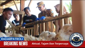 Jelang Idul Adha 2025, Pemerintah Kota Probolinggo Lakukan Inspeksi Hewan Ternak