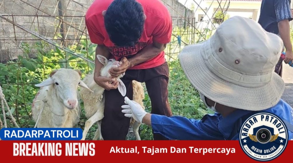 Diperta Probolinggo Pastikan Kelayakan Daging Kurban Idul Adha 1446 H Lewat Pemeriksaan Ketat