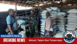 Peltu Sugiantoro Anggota Koramil 0820/06 Sumberasih Pantau Ketersediaan Pupuk Bersubsidi Di Wilayah Binaan