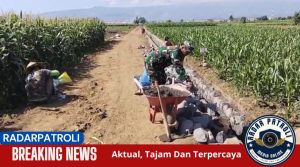 Koramil 0820/06 Sumberasih Turun Langsung Bantu Warga Bangun Saluran Irigasi Di Desa Muneng Kidul