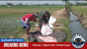 Koramil 0820/15 Pajarakan Dampingi Petani dalam Rangka Gerakan Antisipasi Darurat Pangan Nasional