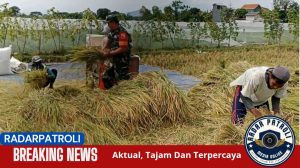 Koramil 0820/03 Leces Dampingi Petani Di Tigasan Wetan, Dukung Gerakan Antisipasi Darurat Pangan Nasional